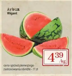 Społem Arbuz Wigant oferta