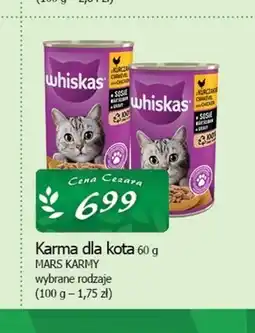 Cezar Delikatesy Karma dla kota Whiskas oferta