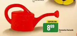 Polomarket Konewka oferta