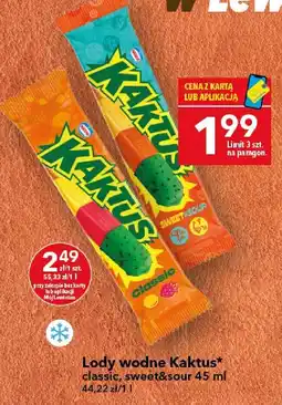 Lewiatan Lody wodne Kaktus* sweet&sour 45 ml oferta