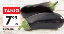 Intermarche Bakłażan luz Intermarche oferta