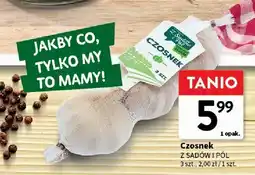 Intermarche Czosnek z sadów i pól 3 szt oferta