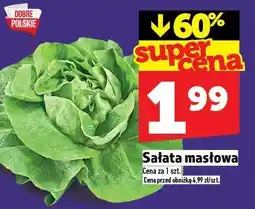 Topaz Sałata masłowa TOPAZ oferta