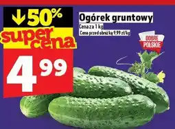 Topaz Ogórek gruntowy TOPAZ oferta