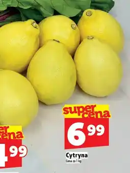 Topaz Cytryna TOPAZ oferta