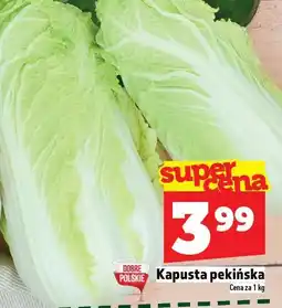Topaz Kapusta pekińska TOPAZ oferta