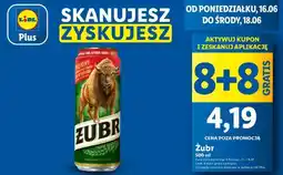 Lidl Żubr oferta