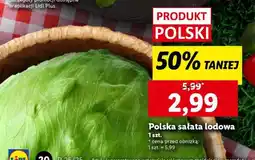 Lidl Polska sałata lodowa oferta