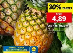 Lidl Ananas, luzem oferta