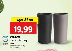 Lidl Wazon ceramiczny oferta