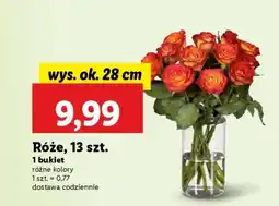 Lidl Róże, 13 szt oferta