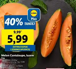 Lidl Melon Cantaloupe oferta