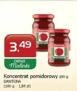 Malinka Market Koncentrat pomidorowy Dawtona oferta
