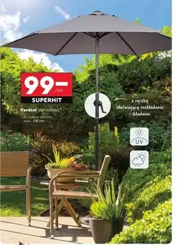 Biedronka Parasol ogrodowy oferta