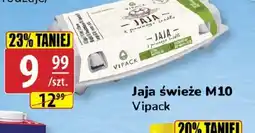 API MARKET Jaja świeże M10 Vipack oferta