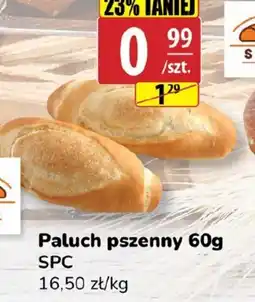 API MARKET Paluch pszenny oferta
