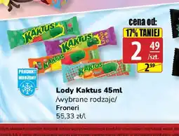 API MARKET Lody Kaktus oferta