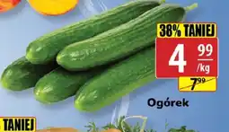 API MARKET Ogórek oferta