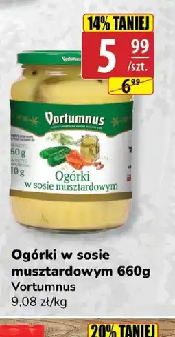 API MARKET Ogórki w sosie musztardowym Vortumnus oferta