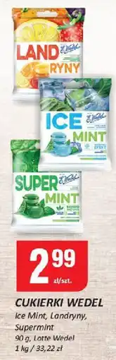 Chorten Cukierki Ice Mint 90g Wedel oferta