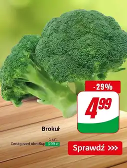 Dino Brokuł Dino oferta