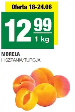 Spar Morela 1kg Hiszpania/Turcja oferta
