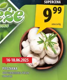 Arhelan Pieczarka Arhelan oferta