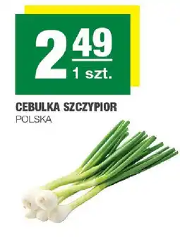 Spar Cebulka szczypior 1 szt. Polska oferta