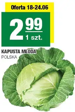Spar Kapusta młoda 1 szt. Polska oferta