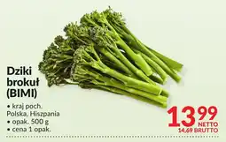 Makro Dziki brokuł (BIMI) Makro oferta