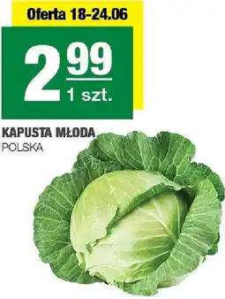 Spar Kapusta młoda 1 szt. SPAR oferta