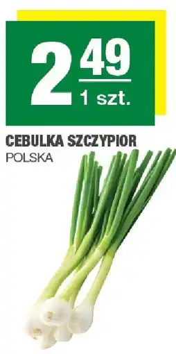 Spar Cebulka szczypior 1 szt. SPAR oferta