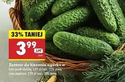 Biedronka Zestaw do kiszenia ogórków oferta