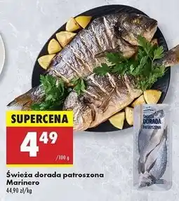 Biedronka Dorada patroszona świeża Marinero oferta