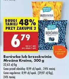 Biedronka Brzoskwinia Mroźna Kraina oferta