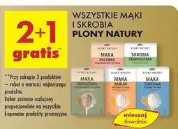 Biedronka Skrobia ziemniaczana Plony Natury oferta