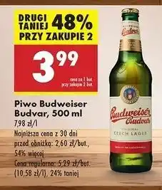 Biedronka Piwo Budweiser Budvar oferta