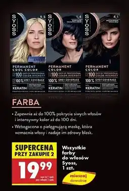 Biedronka Farba do włosów 1.4 Syoss Permanent oferta