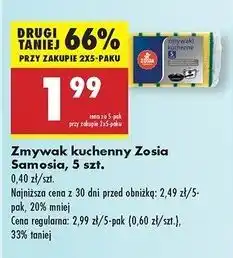 Biedronka Zmywaki kuchenne Zosia Samosia oferta