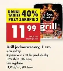Biedronka Grill jednorazowy Fire & Flame oferta