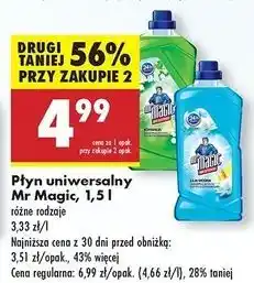 Biedronka Płyn uniwersalny lilia wodna Mr Magic oferta