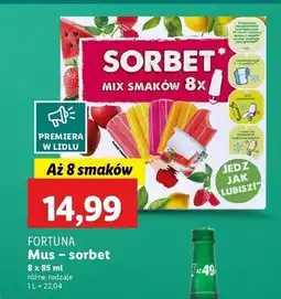 Lidl Mix sorbetów Fortuna oferta