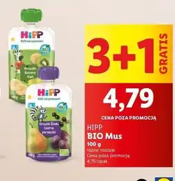 Lidl Mus gruszki - śliwki czarne porzeczki Hipp Bio oferta