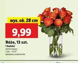 Lidl Bukiet róż oferta