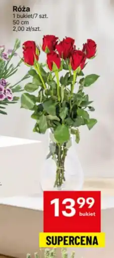 Delikatesy Centrum Róża oferta