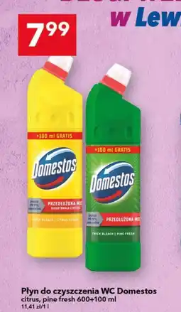 Lewiatan Płyn do czyszczenia wc Domestos oferta