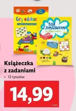 Lidl Blok z łamigłówkami oferta