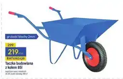 Bat Taczka oferta