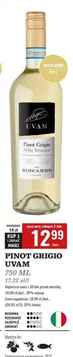 Biedronka Wino Uvam Pinot Grigio oferta