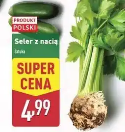 ALDI Seler z nacią oferta